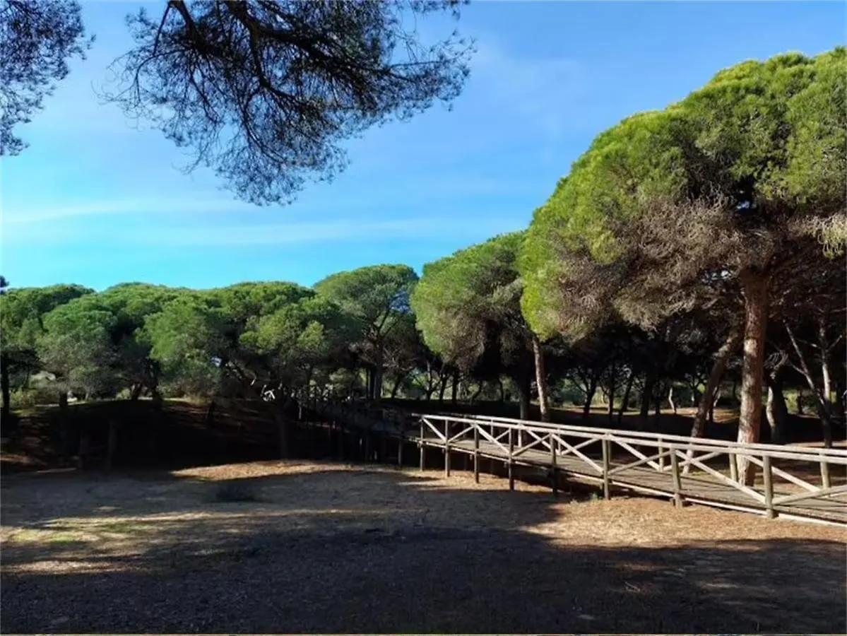 Lägenhet Rota Punta Candor Terrace Playa 3 Bajo C Spanien